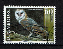 Luxembourg 1999 - YT 1418 - Fauna, Oiseaux, Chouette, Eule, Owl, Uil - Used Stamps