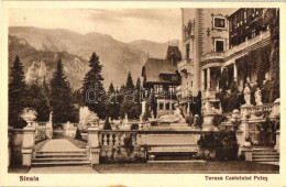 ** T1 Sinaia, Terasa Castelulul Peles / Castle Terrace - Unclassified