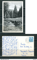 K13927)Ansichtskarte: Tambach-Dietharz, Mittelwassergrund, Gelaufen 1956 - Tambach-Dietharz