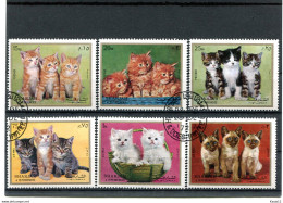 A51199)Katzen: Sharjah 1386 - 1391 A Gest. - Sonstige & Ohne Zuordnung