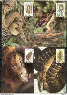 A51343)WWF-Maximumkarten Reptilien: Jamaika 591 - 594 - Maximum Cards
