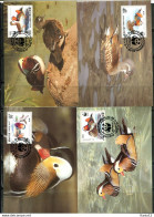 A51347)WWF-Maximumkarten Vogel: Korea 2865 - 2868 - Cartes-maximum