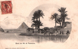 Egypte, Bord Du Nil Et Palmiers, Pyramides Et Chameaux - Carte Fin & David Dos Simple - Pyramiden