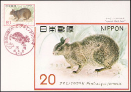 JAPAN 1974 Mi-Nr. 1218 Maximumkarte MK/MC No. 244 - Cartes-maximum