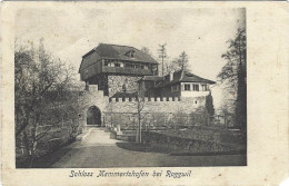 Schloss Mammertshofen Bei Roggwil 1906 - Mammern