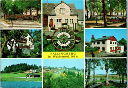 47239 - Niederösterreich - Sallingberg , Waldviertel , Mehrbildkarte - Gelaufen  - Zwettl