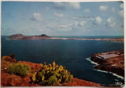 Carte Postale   > Espagne > Islas Canarias > Vista Panoramica - La Palma