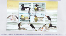 Ireland Birds 2004 Ducks Miniature Sheet Fine Used Mount Merrion Cds - Gebruikt