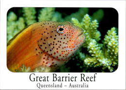 10-12-2023 (1 W 46) Australia - QLD - Great Barrier Reef Fish  (posted With Olympic Stamp 1999) - Great Barrier Reef