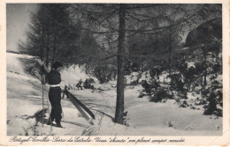 COVILHÃ - Serra Da Estrela - Uma Shieuse Em Pleno Campo Nublado - PORTUGAL - Castelo Branco