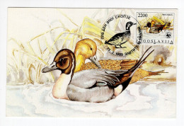 1989. YUGOSLAVIA,MACEDONIA,SKOPJE,FDC,MC,MAXIMUM CARD,PROTECTED SPECIES,DUCK,BIRDS - Maximumkaarten