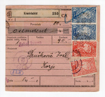 1919 . GERMANY,KRANICHFELD TO KINGDOM OF SHS,SLOVENIA,PARCEL CARD TO KOZJE,VERIGARI,CHAIN BREAKERS - Cartas & Documentos