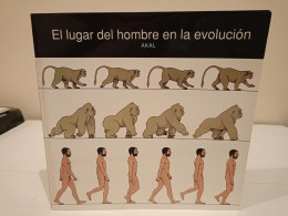 El Lugar Del Hombre En La Evolución. Akal. Natural History Museum. 1994. 102 Páginas. - Sciences Manuelles
