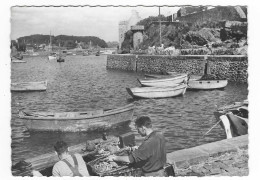 CPSM LE CONQUET, ACTIVITE DU PORT, FINISTERE 29 - Le Conquet