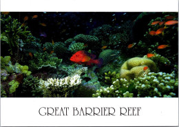 11-12-2023 (1 W 51) Australia - QLD - Great Barrier Reef Fish (posted With Parma Wallaby Stamp) - Great Barrier Reef