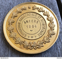 Médaille Exposition Commerciale Et Alimentaire ANVERS 1894 ( Belgique ) LEOPOLD II ROI DES BELGES Signé A. FISCH - Andere & Zonder Classificatie
