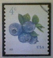 United States, Scott #5653, Used(o), 2022 Definitive, Blueberries, 4¢, Multicolored - Oblitérés