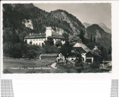 STAINACH Schloss  ( Format C.P.A ) - Stainach
