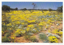 AK 185957 AUSTRALIA - Frühling In Zentral Australien - Autres & Non Classés
