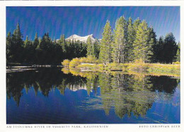 AK 186042 USA - California - Yosemite Park - Am Tuolumne River - Yosemite