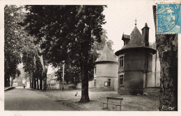 Pompadour * Route , Allée Des Marronniers Et Entrée De Puy Marmont - Arnac Pompadour