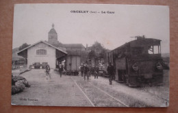 39 - ORGELET - LA GARE  (Train En Gare) - Orgelet