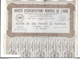 STE Exploitations Minières DE L'ININI (Cayenne) Action De 250 Francs Au Porteur - M - O