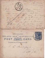 NEW ZEALAND 1891 POSTCARD SENT FROM WELLINGTON - Covers & Documents