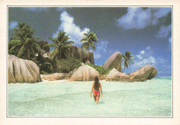 SEYCHELLES - Le Ruisseau Royal - Colorisé - Carte Postale - Seychelles