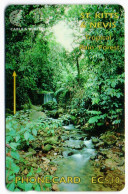 St. Kitts & Nevis - Tropical Rain Forest - 262CSKA - Saint Kitts & Nevis