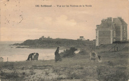 Rothéneuf * Vue Sur Les Falaises De La Varde * Villa - Rotheneuf