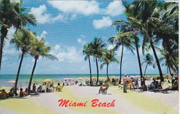 AK 186405 USA - Florida - Miami Beach - Miami Beach