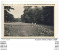 Carte De Champrosay  Preventorium Minoret Vauvert Prairies - Evry