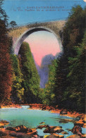 FRANCE - Saint Sauveur Les Bains - Le Pont Napoléon - Carte Postale Ancienne - Saint-Sauveur