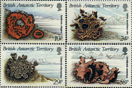 36333 MNH ANTARTIDA BRITANICA 1989 ALGAS - Neufs