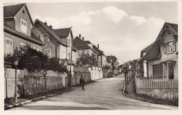 - 68 - ALTKIRCH. - Rue Du 2 Août  - Scan Verso - - Altkirch