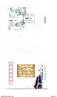 A51858)China FDC 4200 - 4201 - 2010-2019