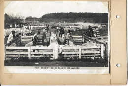 3-REP.ARGENTINA-BANADERO DE OVEIAS-CARD 1920 - Amérique