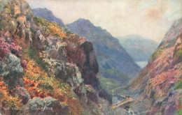 ROYAUME UNI - Pays De Galles - Caemarvonshire - The Pass Of Llanberis - Oilette - Carte Postale Ancienne - Caernarvonshire