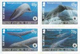 127281 MNH ANTARTIDA BRITANICA 2003 BALLENA AZUL - Neufs