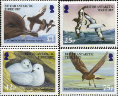 175107 MNH ANTARTIDA BRITANICA 2005 FAUNA PROTEGIDA. PAJAROS - Ungebraucht