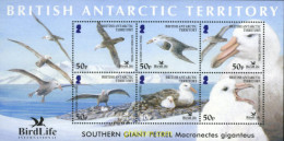 175113 MNH ANTARTIDA BRITANICA 2005 FAUNA PROTEGIDA. PAJAROS - Neufs