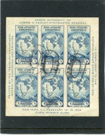 UNITED STATES/USA - 1934  NEW YORK EXPO  MS  FINE USED - Blocks & Sheetlets