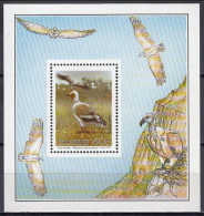 Transkei 1991 (MNH) (Mi BL8) - Egyptian Vulture (Neophron Percnopterus) - Collections, Lots & Series