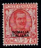 Somalie 1926-30 Sass. 98 Neuf ** 60% 75 C. - Somalia