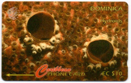 Dominica - Hydroids: 9CDMC (with Ø) - Dominique