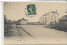 70 MELISEY . La Gare , Le Rail , Wagon , Loge "Pied ,et Cheval ", édit : Hatier Coiffeur , écfrite En 1907 , état  Extra - Mélisey