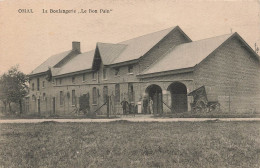 BELGIQUE - Omal - La Boulangerie - Le Bon Pain - Carte Postale Ancienne - Geer