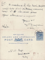NEW ZEALAND 1893 POSTCARD SENT FROM WELLINGTON - Storia Postale