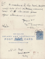 NEW ZEALAND 1893 POSTCARD SENT FROM WELLINGTON - Briefe U. Dokumente